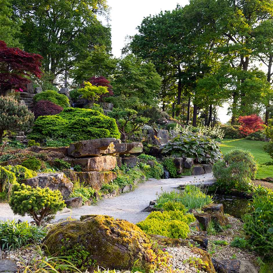 Garden