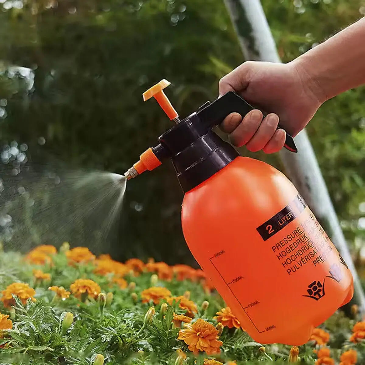 2L Garden Hand Pump Sprayer Portable Garden Sprayer Disinfection Spray Bottle Plants Sprinkler Car Wash Spray Watering Can